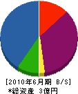 村岡組 貸借対照表 2010年6月期