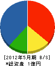 コスモテック太田 貸借対照表 2012年5月期
