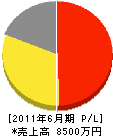 長岡コンストラクション 損益計算書 2011年6月期