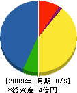 新川インフォメーションセンター 貸借対照表 2009年3月期