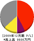 田中開発 損益計算書 2009年12月期
