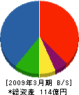 東興ジオテック 貸借対照表 2009年3月期