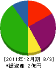 小林プランニング 貸借対照表 2011年12月期