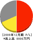 パルス電工 損益計算書 2008年12月期