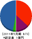 三恵開発 貸借対照表 2011年5月期