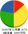 松廣工務店 貸借対照表 2007年12月期