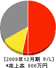 中山電気工事 損益計算書 2009年12月期