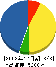 佐藤電気設備 貸借対照表 2008年12月期