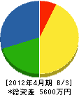 井澤鉄工所 貸借対照表 2012年4月期