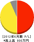 島田塗装工業所 損益計算書 2012年6月期