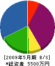 片桐造園 貸借対照表 2009年5月期