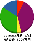 安田建設 貸借対照表 2010年3月期