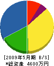 佐竹法面工業 貸借対照表 2009年5月期