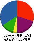 内藤電気工務所 貸借対照表 2009年7月期