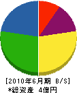 木村産業 貸借対照表 2010年6月期