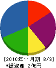 新栄電気 貸借対照表 2010年11月期