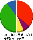 田中塗装 貸借対照表 2012年10月期