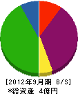 松田組 貸借対照表 2012年9月期