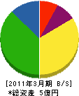 野沢総合 貸借対照表 2011年3月期