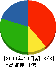 武山興業 貸借対照表 2011年10月期
