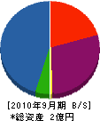 ひかわ工務店 貸借対照表 2010年9月期
