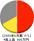 栗田塗装 損益計算書 2009年6月期