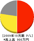 松尾塗装 損益計算書 2009年10月期