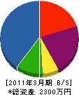 笹山木工所 貸借対照表 2011年3月期