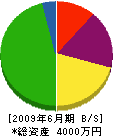 ヤマト企画 貸借対照表 2009年6月期