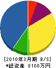 山崎電気 貸借対照表 2010年3月期