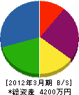 長谷川商店 貸借対照表 2012年3月期