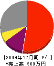 萩本建築 損益計算書 2009年12月期