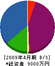 青山建設工業 貸借対照表 2009年4月期