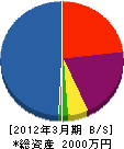 冨木田電機商会 貸借対照表 2012年3月期