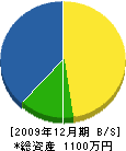 上平塗装店 貸借対照表 2009年12月期