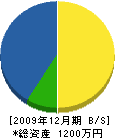 神松造園 貸借対照表 2009年12月期