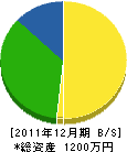津田板金工業 貸借対照表 2011年12月期