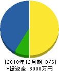 井関工務店 貸借対照表 2010年12月期