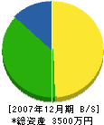 阪東電気商会 貸借対照表 2007年12月期