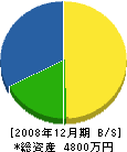 川＊電気 貸借対照表 2008年12月期
