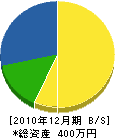 坂田造園 貸借対照表 2010年12月期