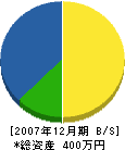 稲田造園 貸借対照表 2007年12月期