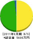 庵野組 貸借対照表 2011年6月期