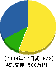 中電気 貸借対照表 2009年12月期