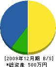 堀川工務店 貸借対照表 2009年12月期