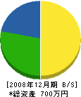 斎藤電設 貸借対照表 2008年12月期