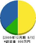 寺沢工務店 貸借対照表 2009年12月期