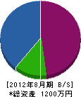 松村造園 貸借対照表 2012年8月期