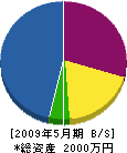福田電設 貸借対照表 2009年5月期