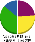 竹内土建 貸借対照表 2010年6月期